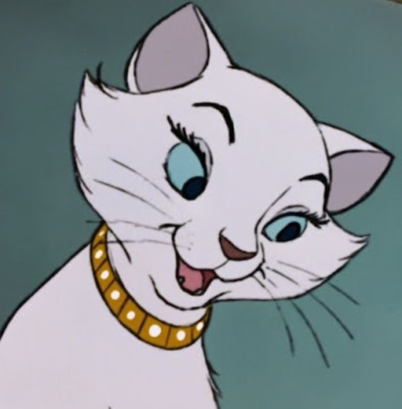 Meet your Posher, Sasha - Picture 1 of 1